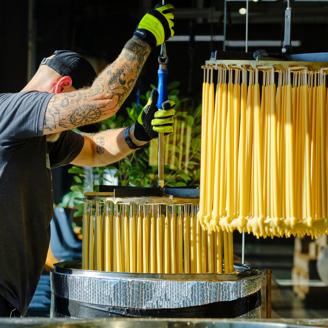 Bluecorn | Beeswax Taper Candles – Dripless & Handmade in USA