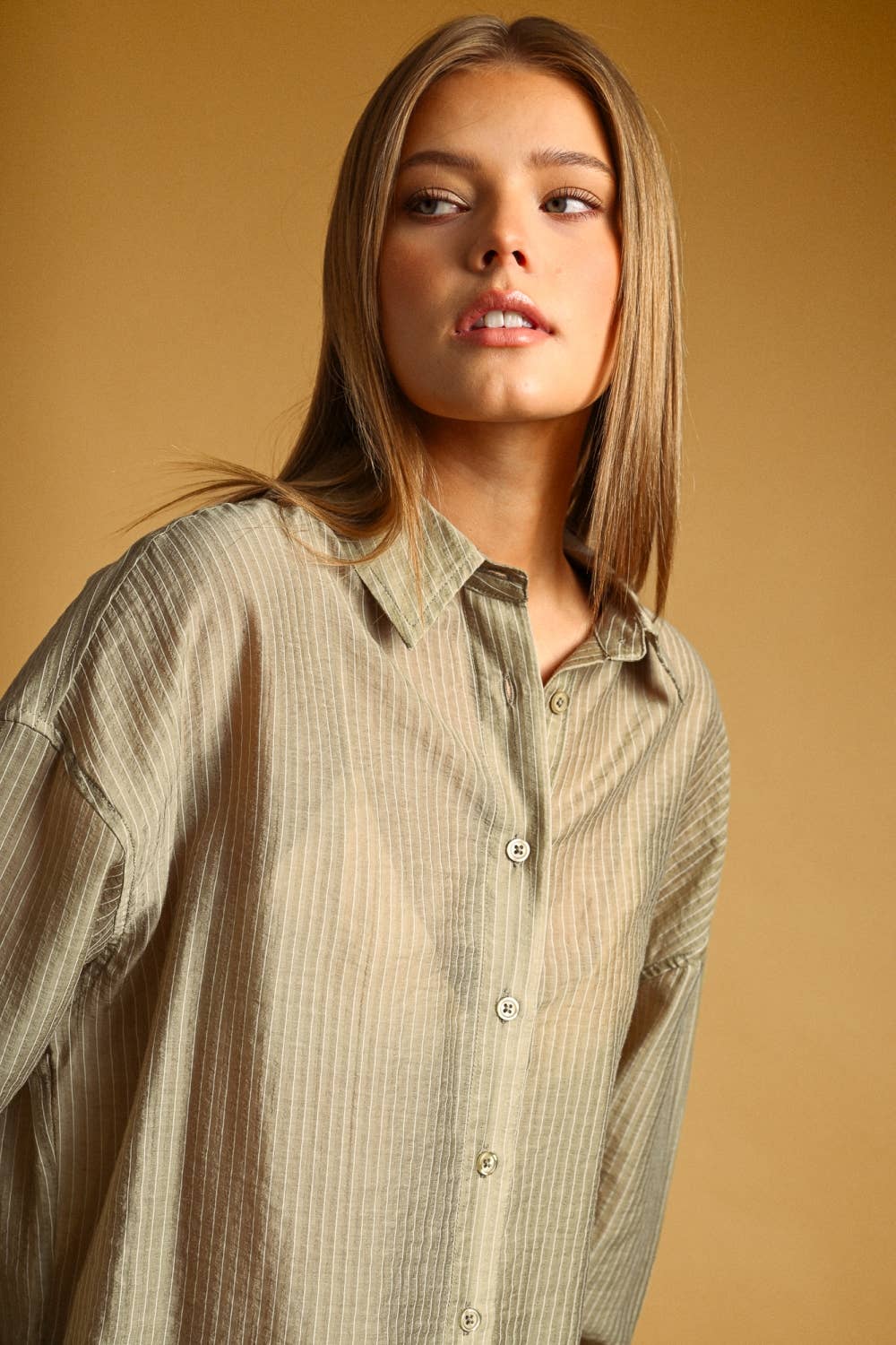 Miou Muse | Pin Striped Sheer Button Front Shirt