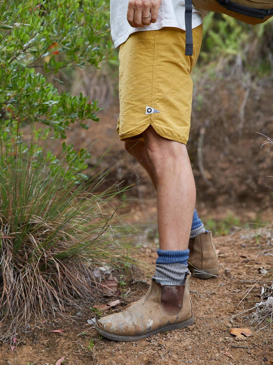 Mollusk | Scallop Trunks