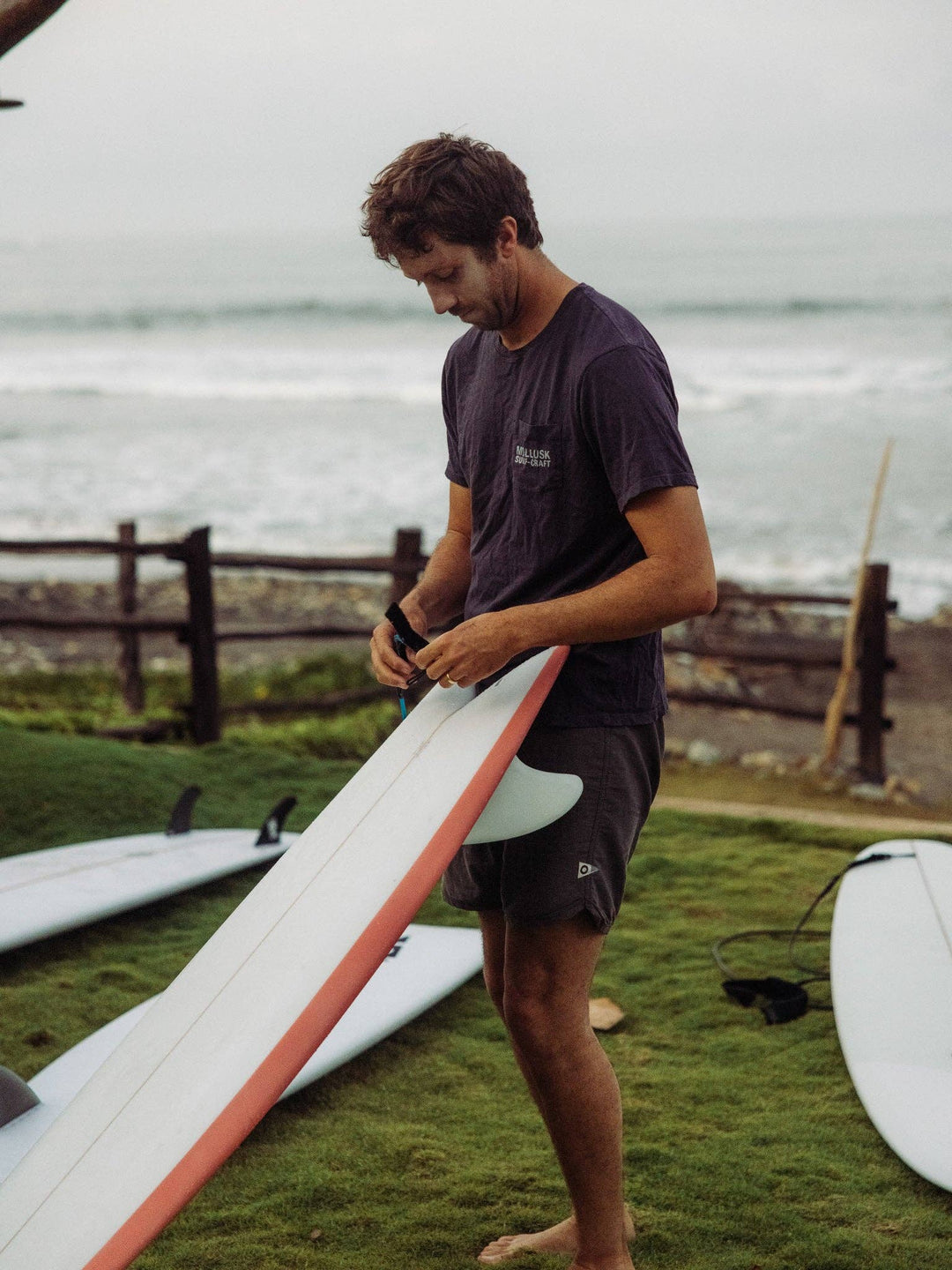 Mollusk | Scallop Trunks