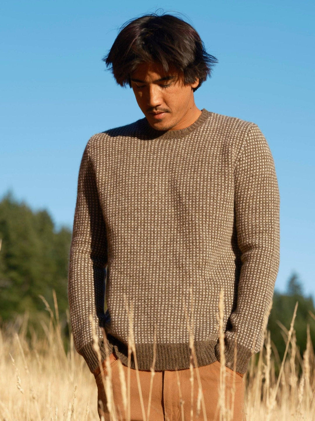 Mollusk | Beacon Sweater