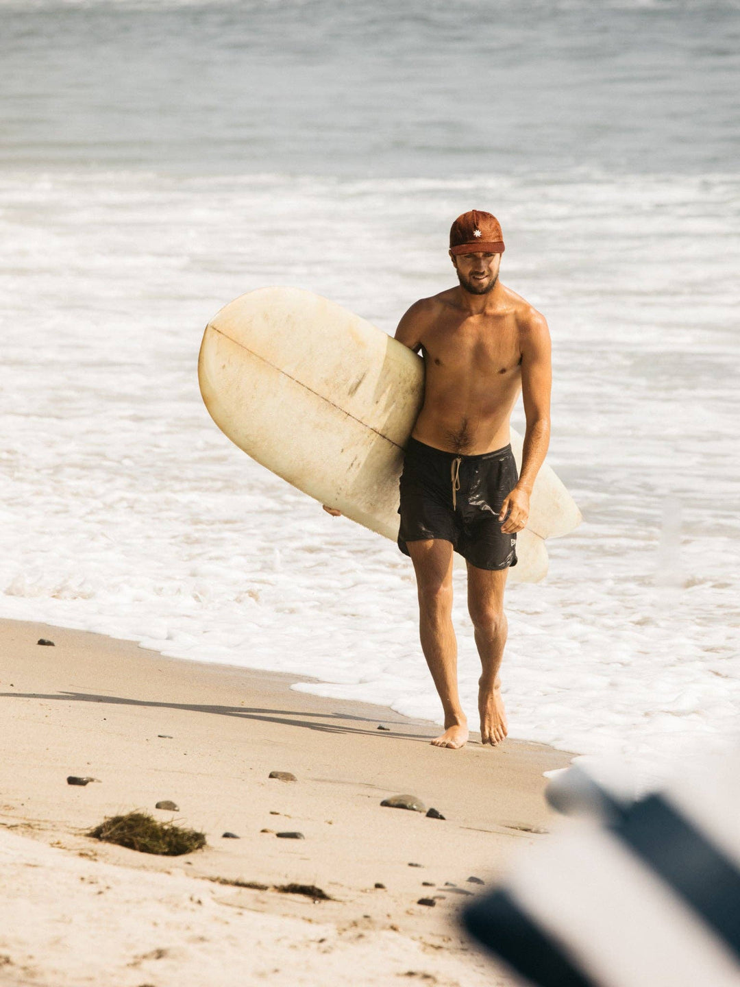 Mollusk | Scallop Trunks