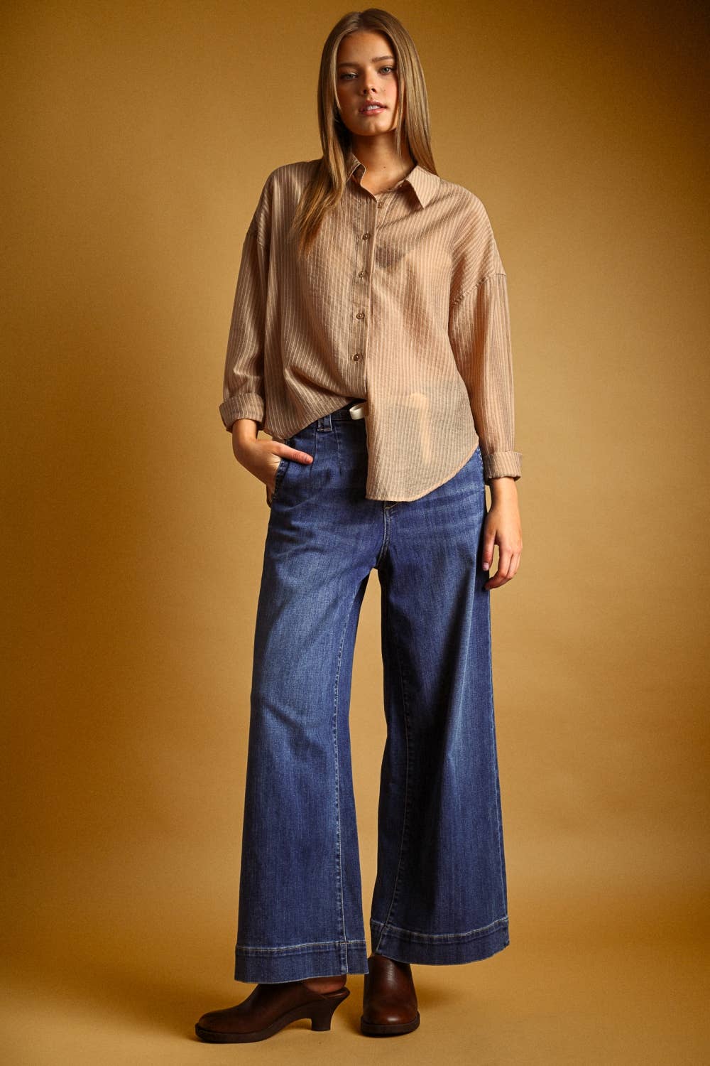 Miou Muse | Pin Striped Sheer Button Front Shirt