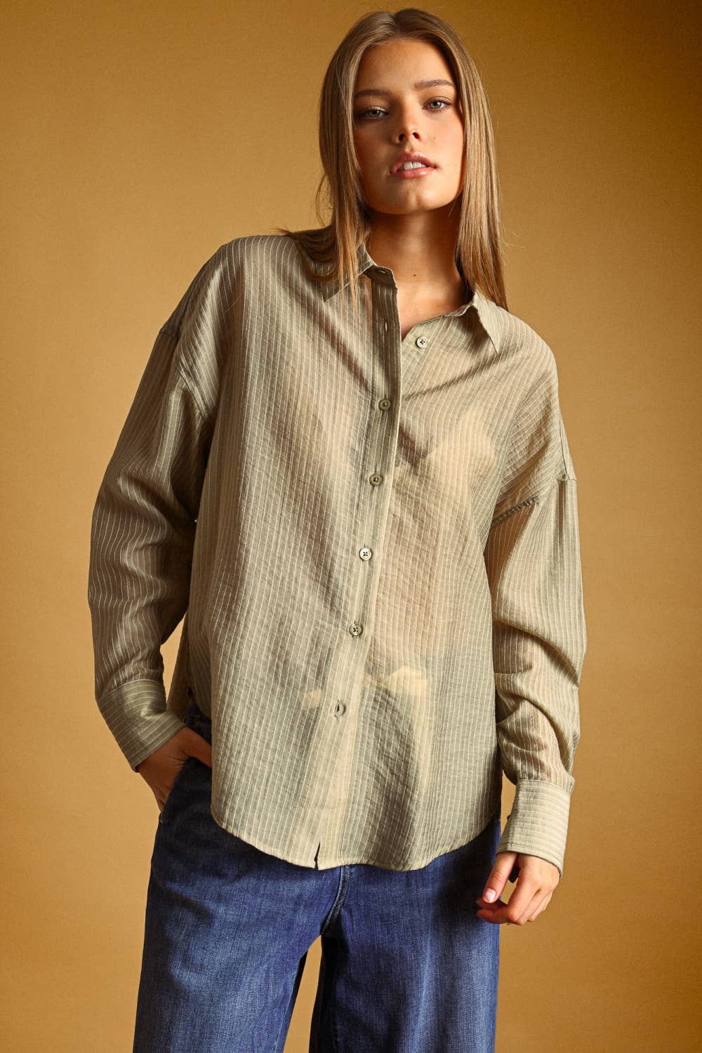 Miou Muse | Pin Striped Sheer Button Front Shirt