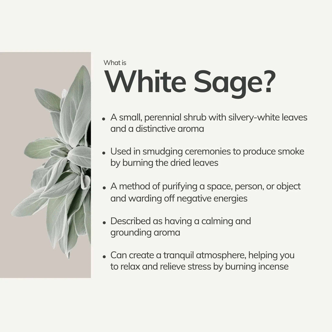 Cedar and Myrrh | White Sage Incense Sticks – 7 Hand-Rolled Sticks from Peru