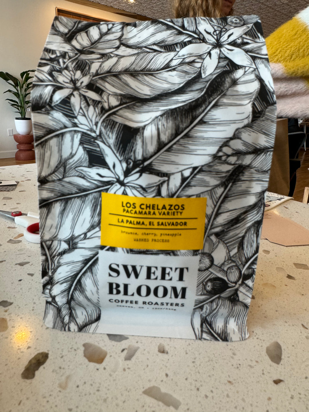 Sweet Bloom | 10 oz bags-Single Origin and Blends