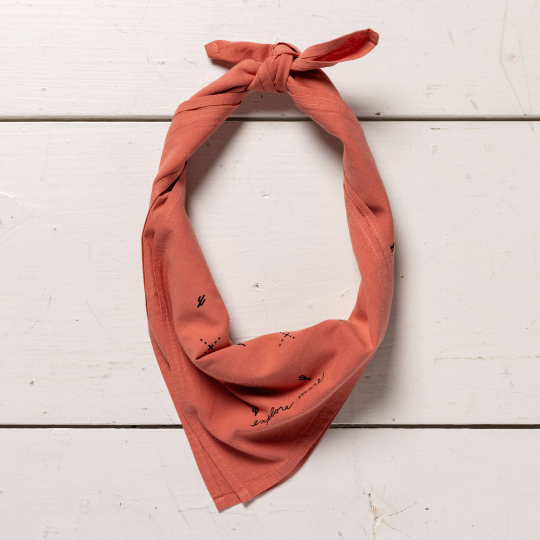 Jenni Earle | “explore more” bandana