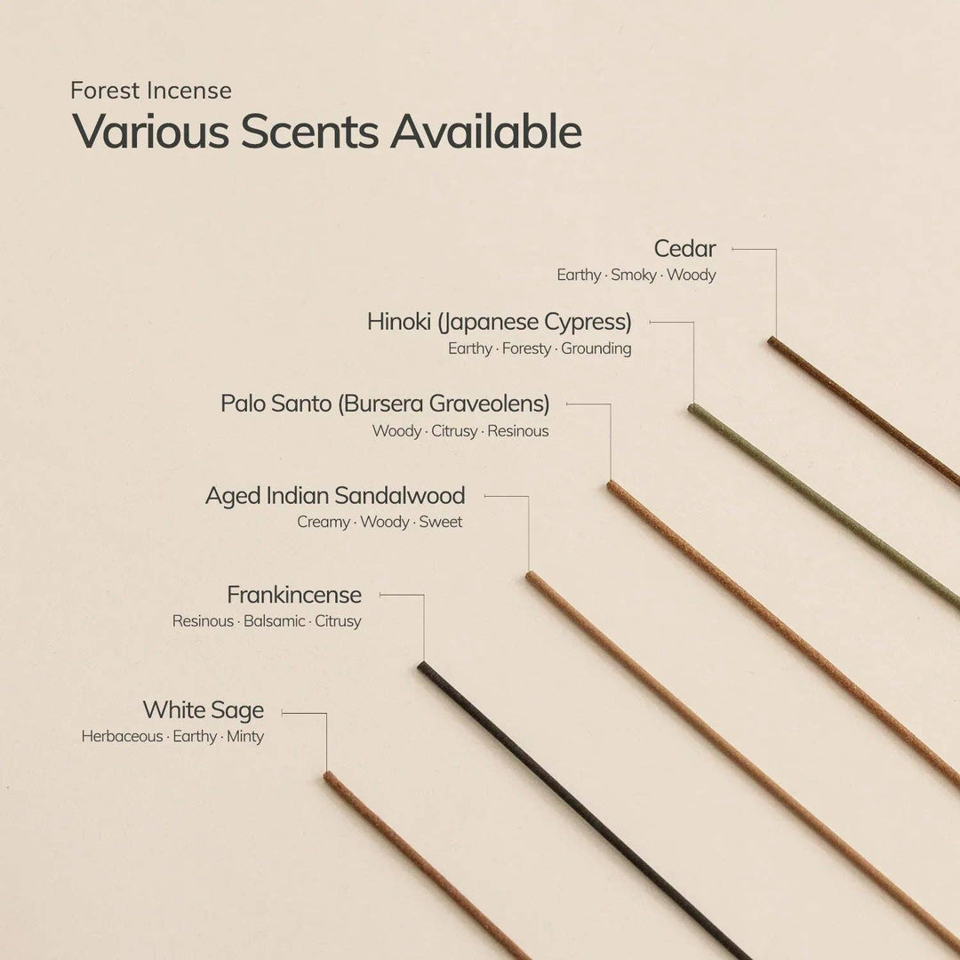 Cedar and Myrrh |Palo Santo Incense Stick Set  – 30 Sticks with Ceramic Holder