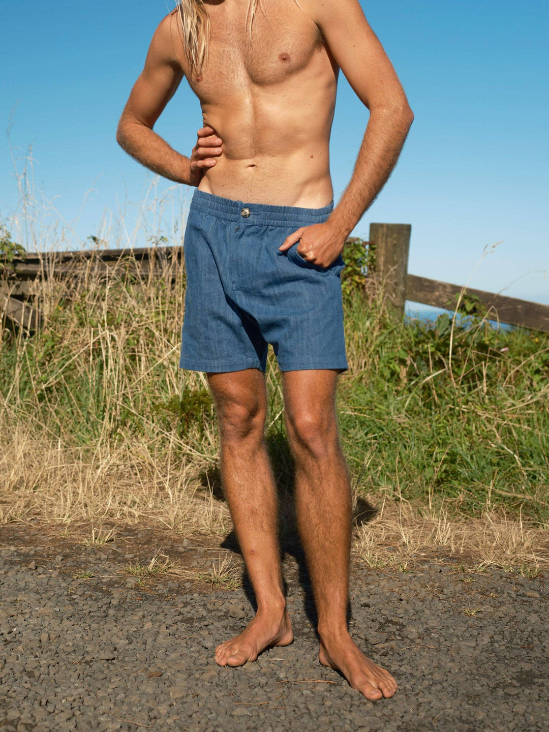 Mollusk | Pinnacle Denim Shorts