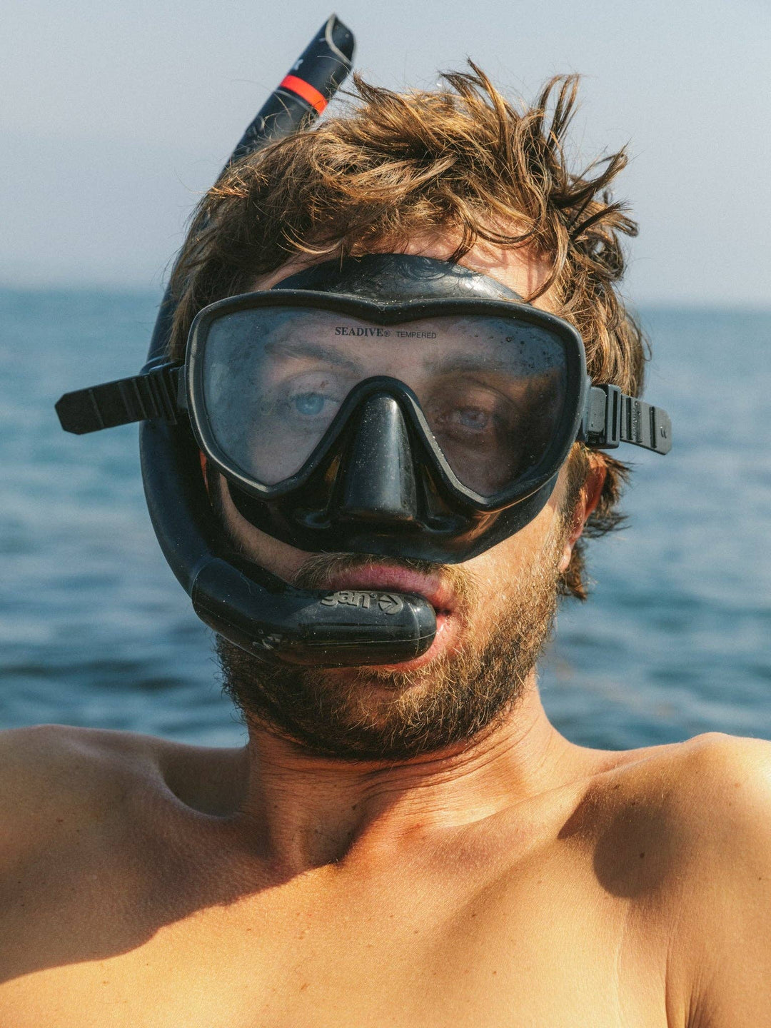 Mollusk | Scallop Trunks
