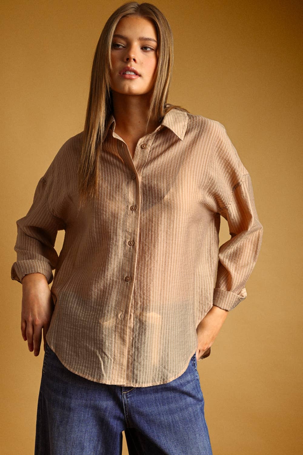 Miou Muse | Pin Striped Sheer Button Front Shirt