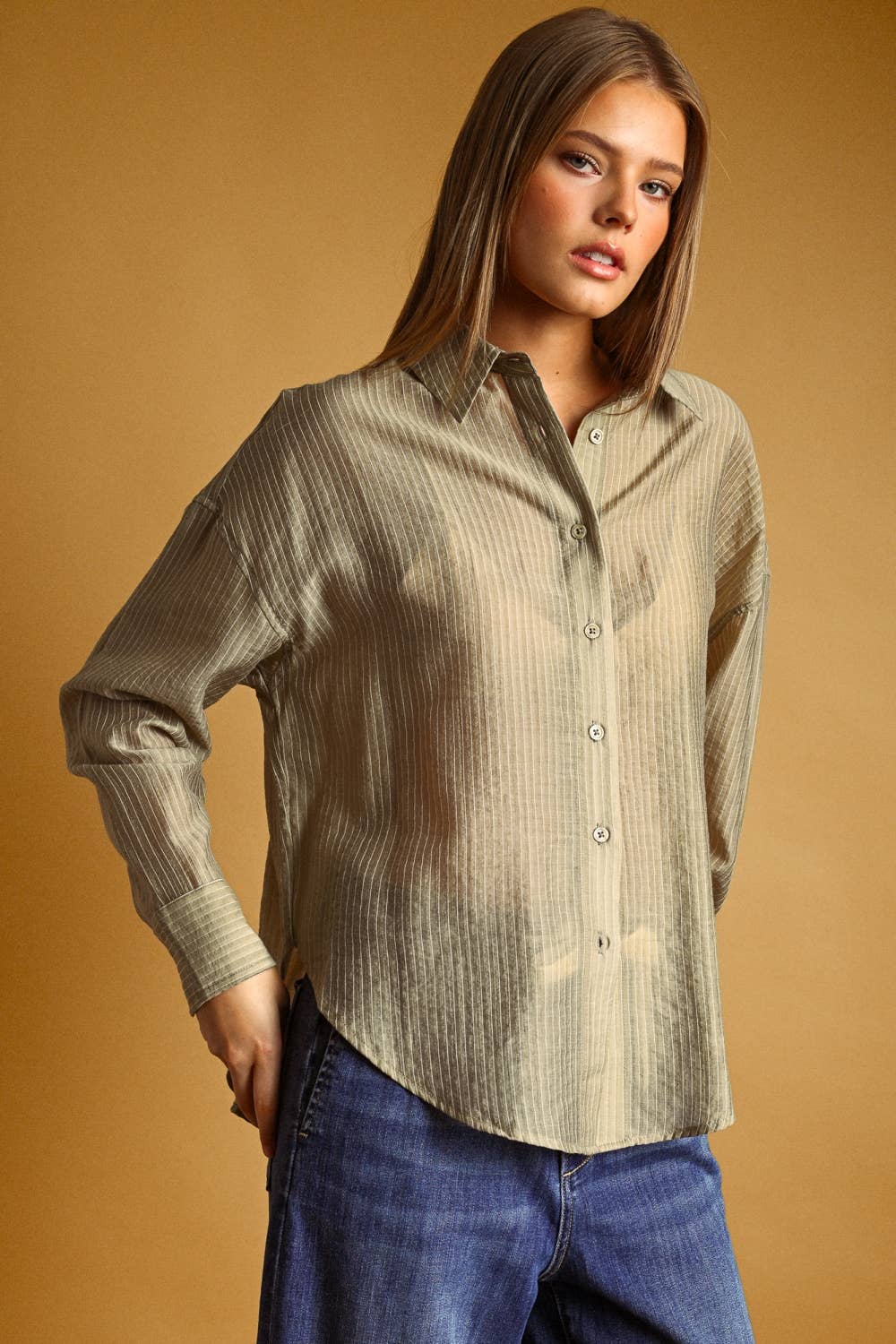 Miou Muse | Pin Striped Sheer Button Front Shirt